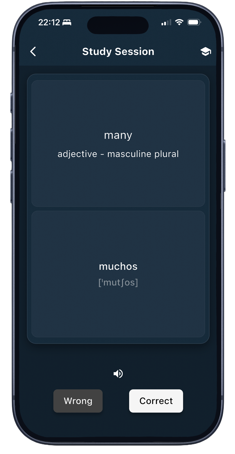 Lingualite flashcard study session